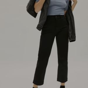 Everlane cropped straight regular pants